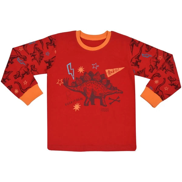 Kids Boys Dinosaur Pajamas Kids PJS 2 Piece Dino Set Lounge Costume-