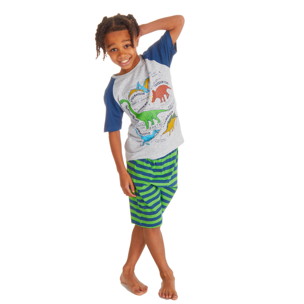 Boys 2 Piece Pyjama Set Cotton Rich PJs Summer T-shirt Shorts Set Age 2-13 Years