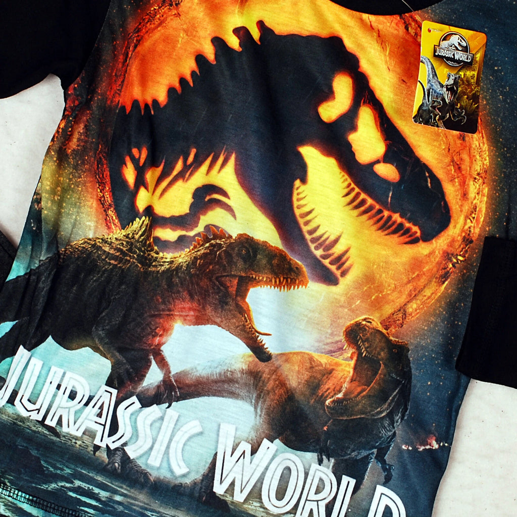 Boys Jurassic World Dinosaur Pyjamas 4-10 Years