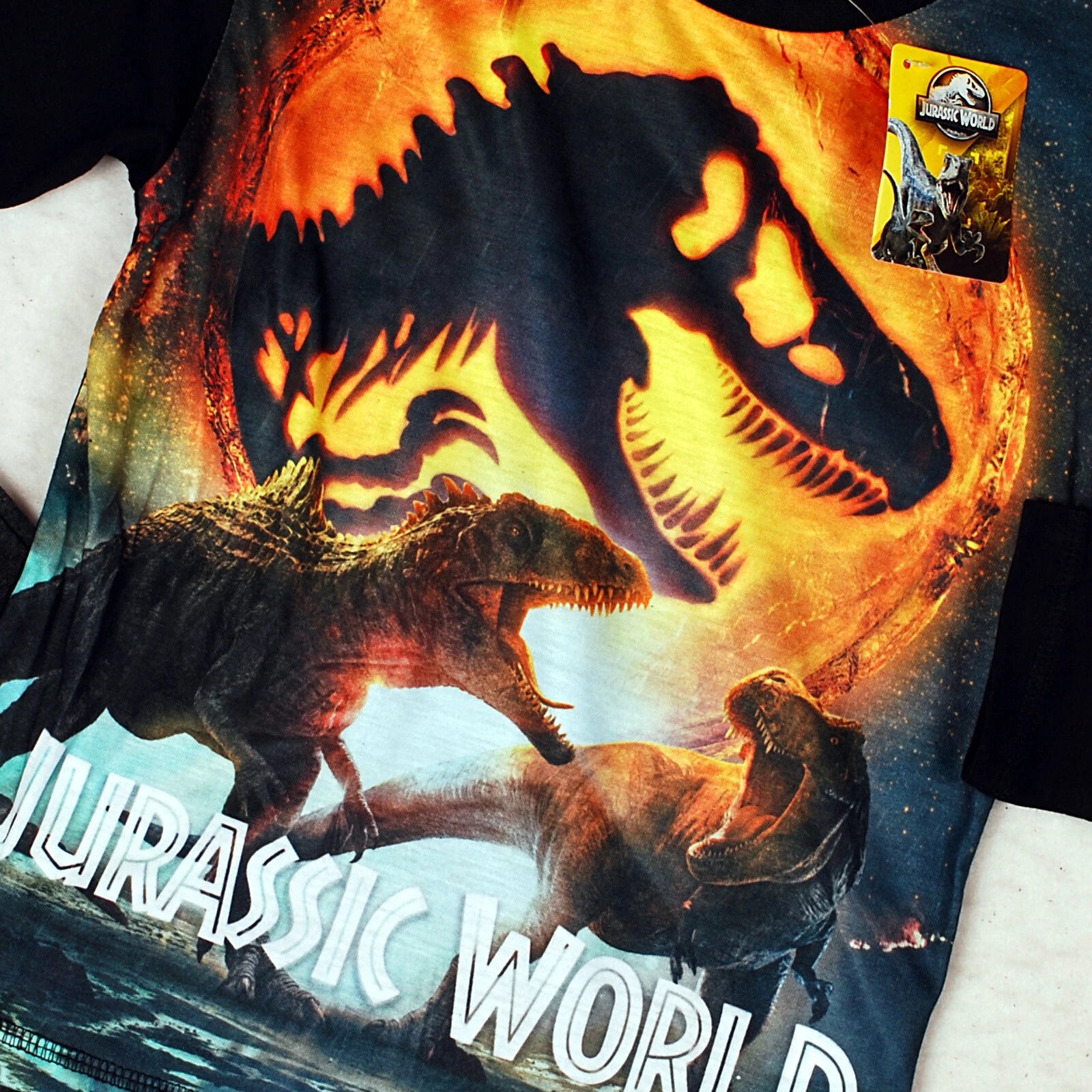 Boys Jurassic World Dinosaur Pyjamas 4-10 Years