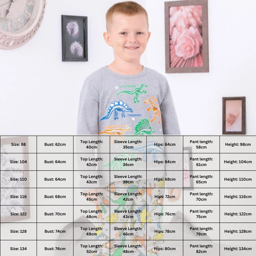 Pajama Set (boys), Any season,  Nosi svoe 6347-002-33-4 (dino)