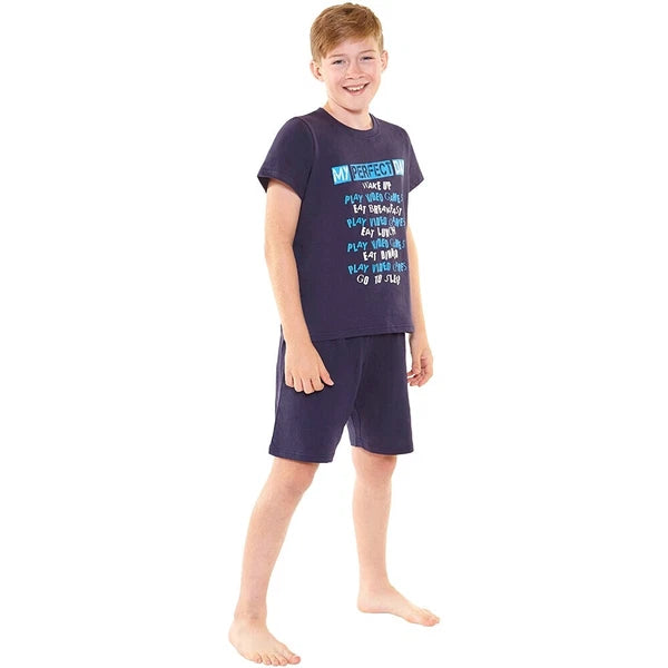 Bedlam Older Boys Perfect Day Gaming Sleeping T-Shirt Shortie Pyjamas Black Blue