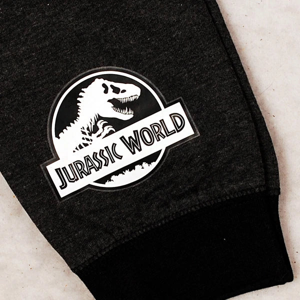 Boys Jurassic World Dinosaur Pyjamas 4-10 Years